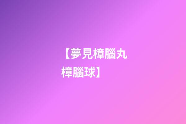 【夢見樟腦丸 樟腦球】